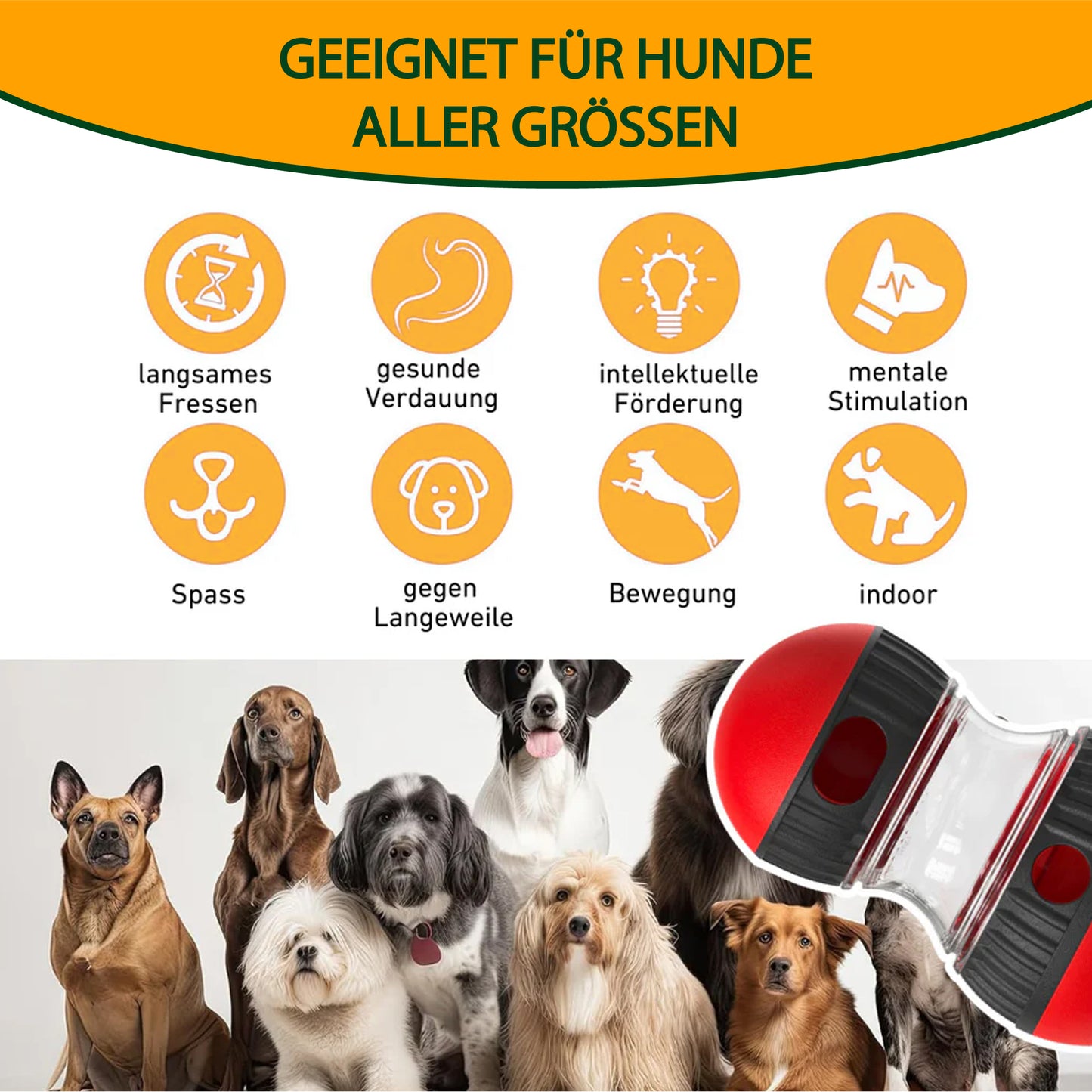 Interaktives Hundespielzeug mit Futterspender – Spiel, Spaß & gesunde Fütterung
